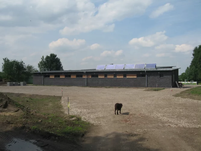 BVH Burlo 001