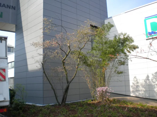 BVH Deichmann Essen 002