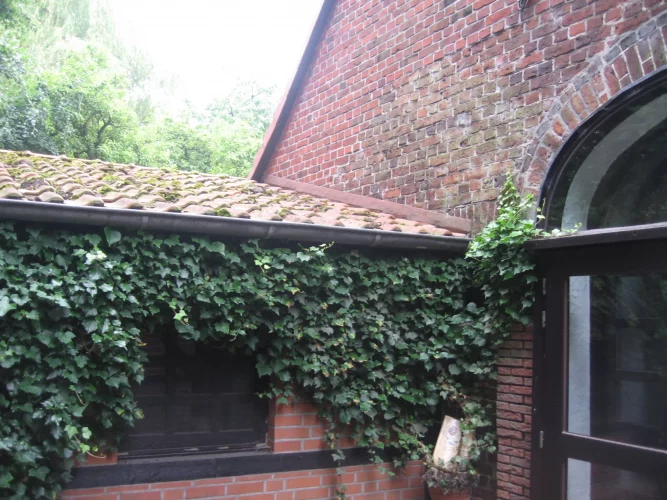 Emming 015-Bauernhaus-Suedlohn