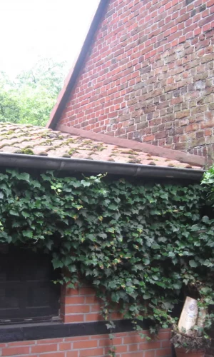 Emming 015-Bauernhaus-Suedlohn